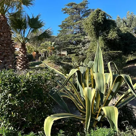 Vue Domaine Arbore Apartmán